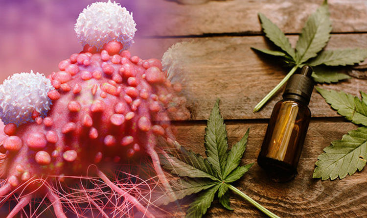 What are the CBD Health Benefits in Treating Cancer?