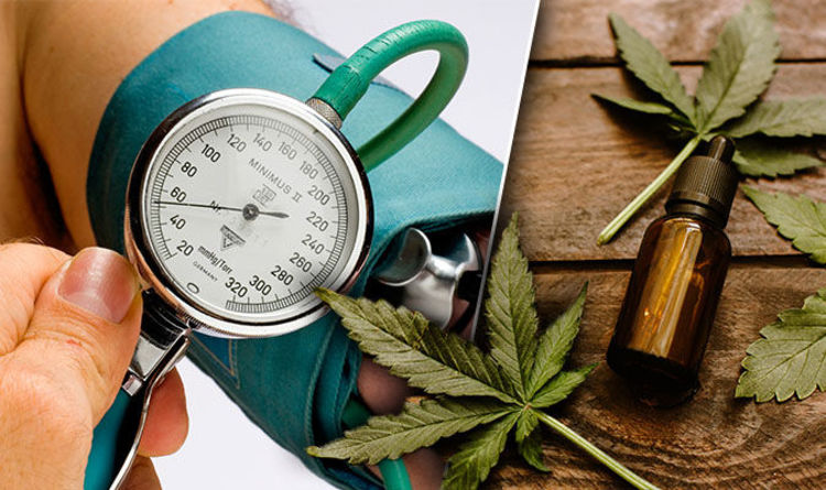 Does CBD Really Help People with High Blood Pressure?