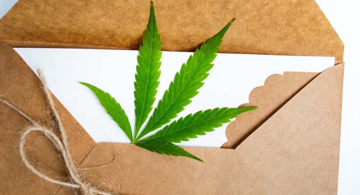 Why to Choose Custom Cannabis Packaging: Brandmydispo