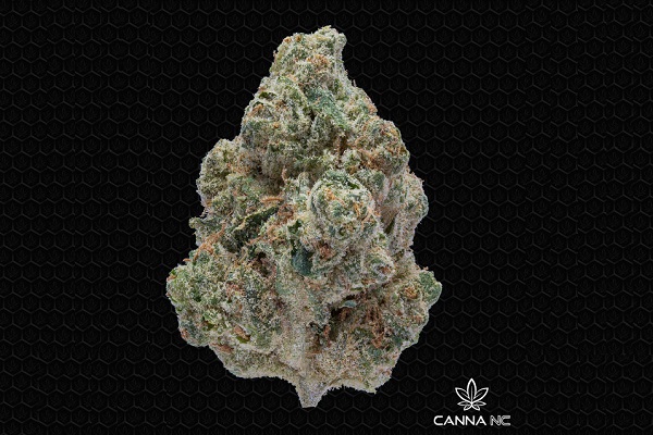 The World of Exotic THCA Flower in Charlotte, NC: A Premium Experience at CANNA NC